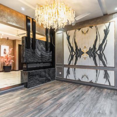 1 Kanal Facing Park Luxury Modern House for Sale