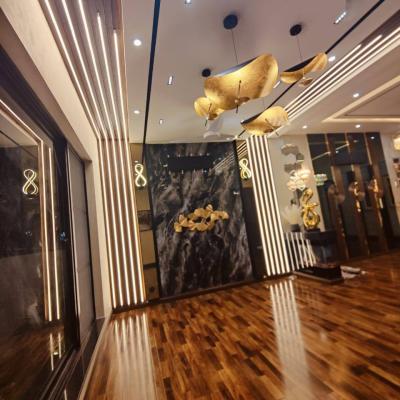 Brand New 10 Marla House Available For Sale In DHA Lahore Phase 3 Block Z-11