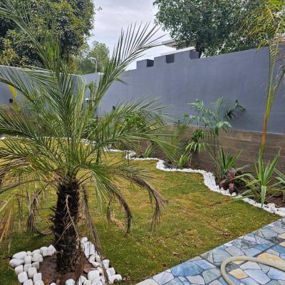 1 Kanal New Beautiful House Available For Rent In Bahria Town Lahore