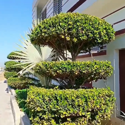 1 Kanal Double Unit House Available For Sale In Gulstan E Sahat E-18 Islamabad