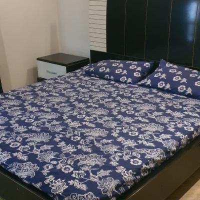 13 Marla Corner Facing Park House Available For Rent In DHA Lahore Phase 5 Block E-4