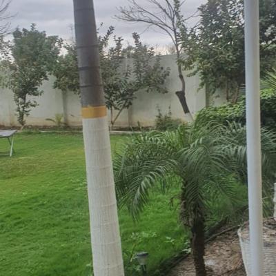 2 bedrooms Farm House Available For Rent In Bedian Road-9