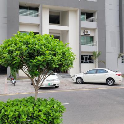 3x Beds brand new apartment on 7th floor available for rent in Sector D Askari 11