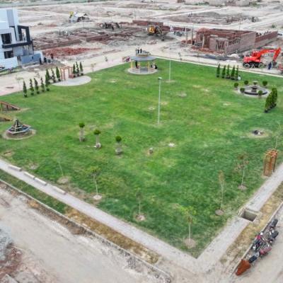 DHA Multan Premium Homes
