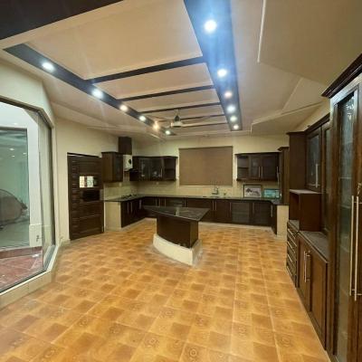 44 Marla Lavish Villa in DHA Phase 8 Ex Park View Lahore