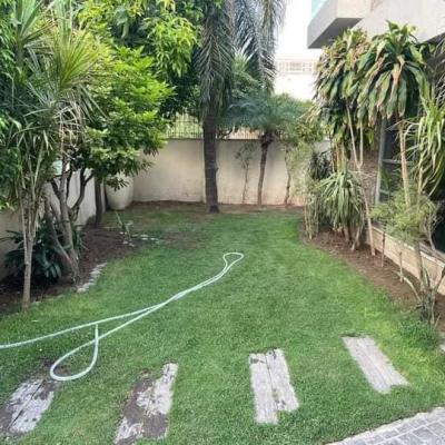 1 Kanal Well Maintain Used House For Sale in DHA Lahore Phase 4 Lahore
