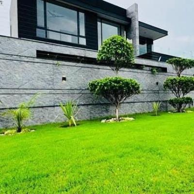 Brand new DHA phase 7 kanal house at only 750 lacs..