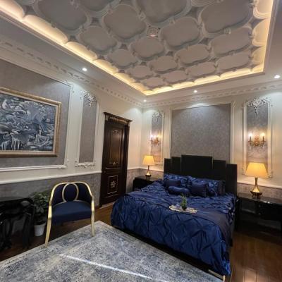 Fully Furnished Brand New 1 Kanal Modern House for Sale in DHA Phase 5 Lahore