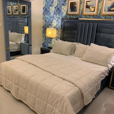 Family Furnished Apartment for Rent in Secure Location In Johar Town Lahore